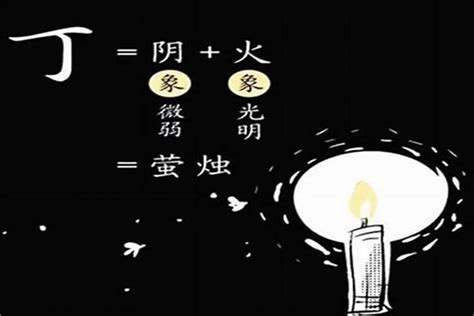 丁火 性格|基础知识︱十天干「丁火」之释义︱特质•契合度•十二支对应性格